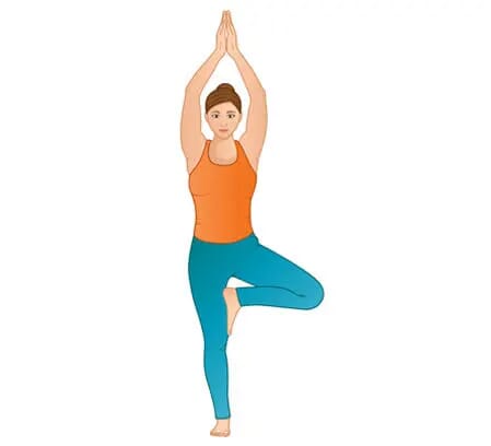 Tree Pose (Vrksasana)